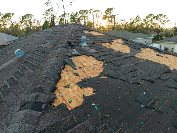 Best Roof Moss and Algae Removal  in Coronado, CA